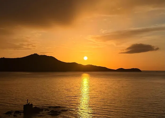 Rezort Palmalife Bodrum &